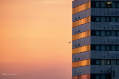 RINKU Sunset_2025166