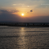 RINKU Sunset_2024374