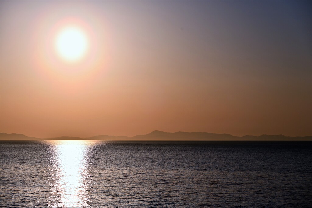 RINKU Sunset_63