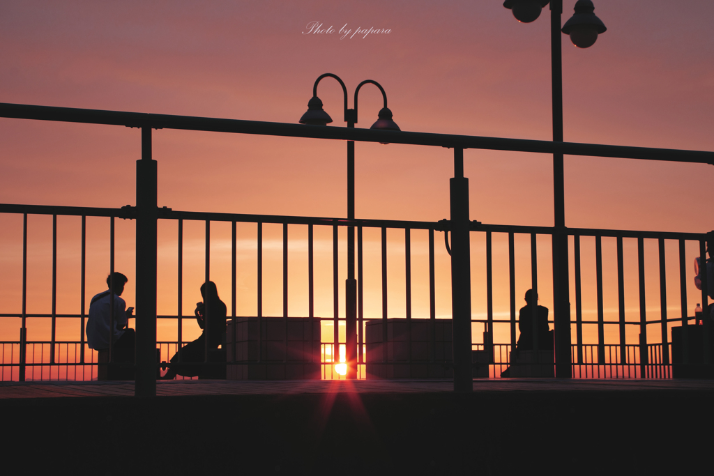 RINKU Sunset_2024159