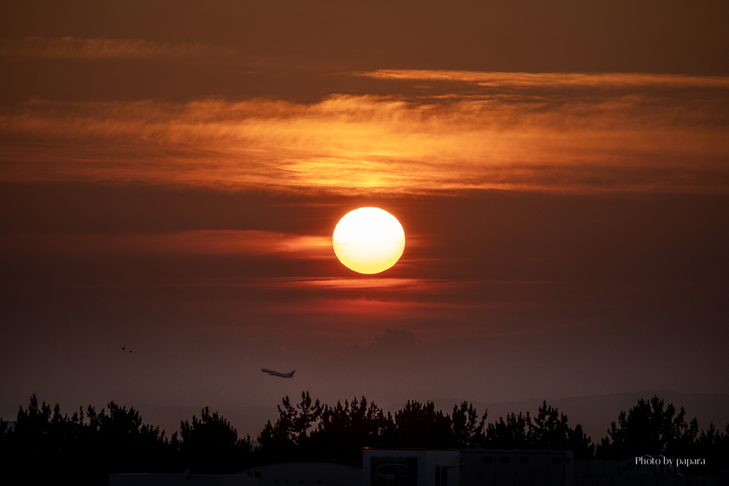 RINKU Sunset_2025198