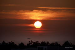 RINKU Sunset_2025198