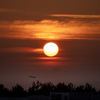 RINKU Sunset_2025198