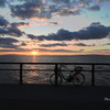 RINKU Sunset_58