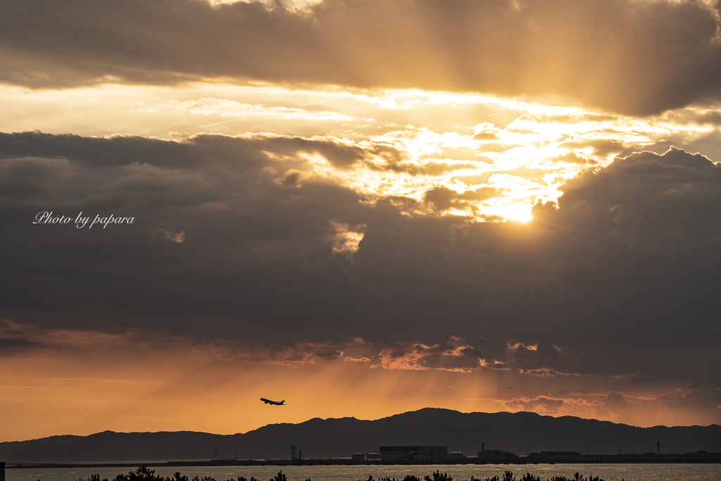 RINKU Sunset_2024241
