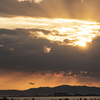 RINKU Sunset_2024241
