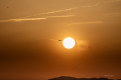 RINKU Sunset_2025140