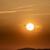 RINKU Sunset_2025140
