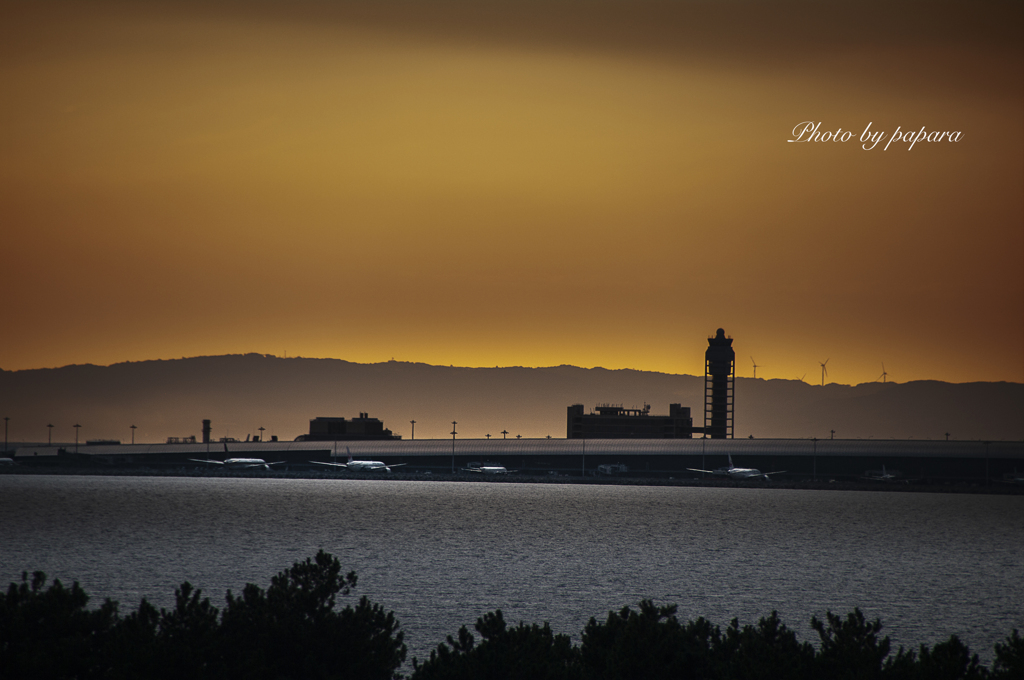RINKU Sunset_2024278
