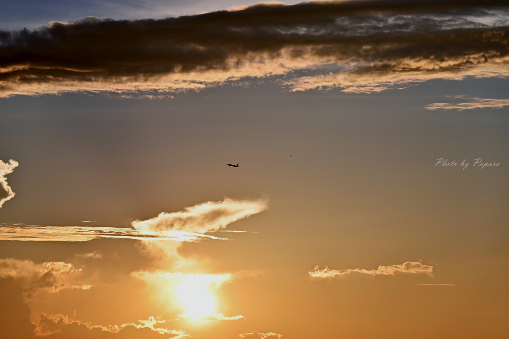 RINKU Sunset_254