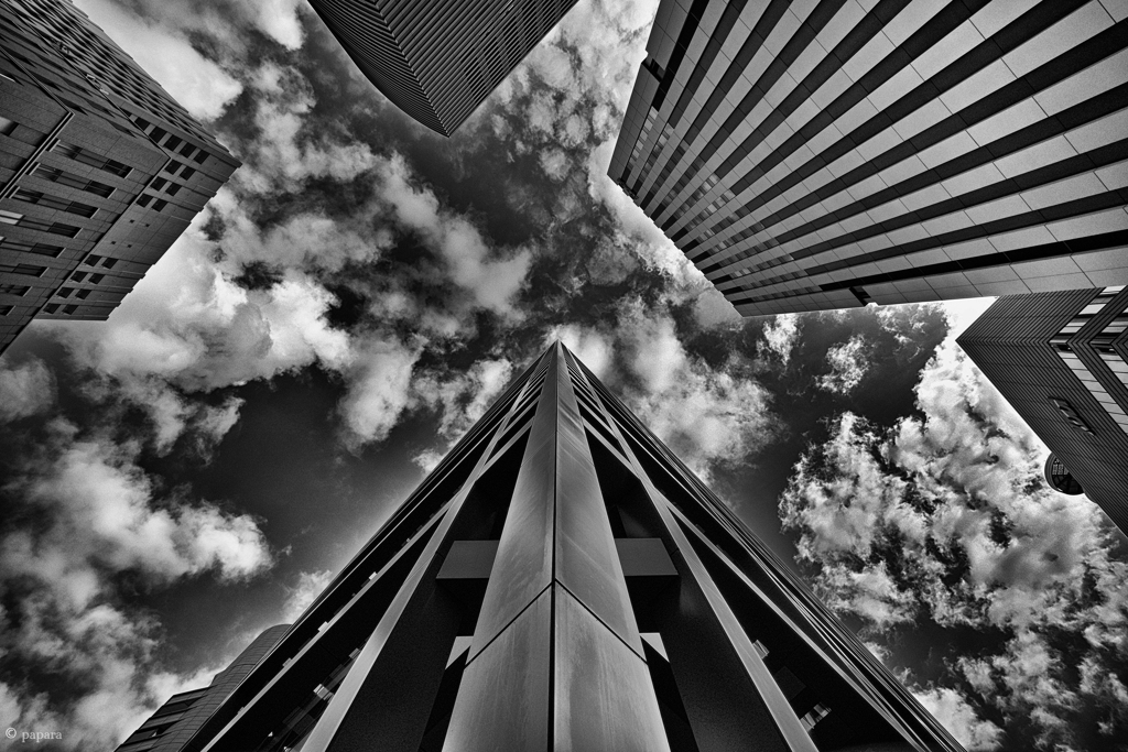 Colourful Black and White_32