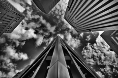 Colourful Black and White_32