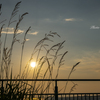 RINKU Sunset_2024246