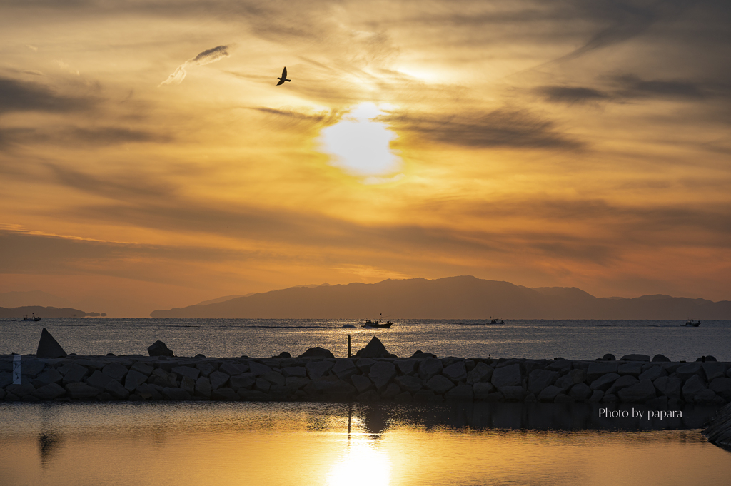 RINKU Sunset_2024333