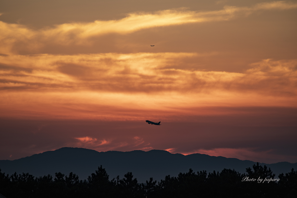 RINKU Sunset_2024244