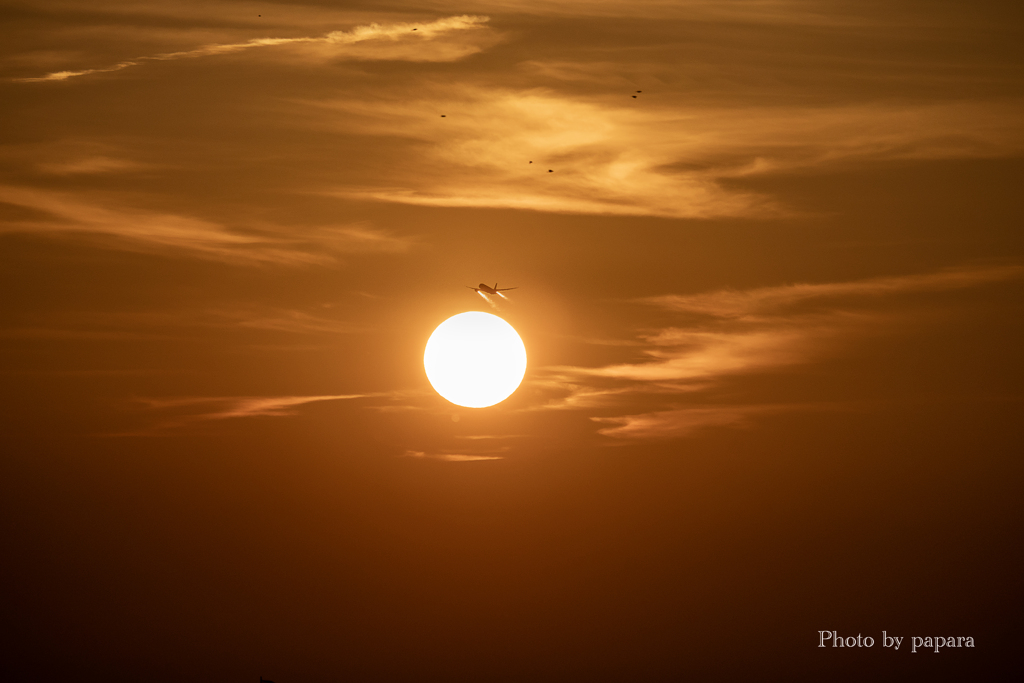 RINKU Sunset_20250908