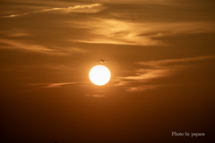 RINKU Sunset_20250908