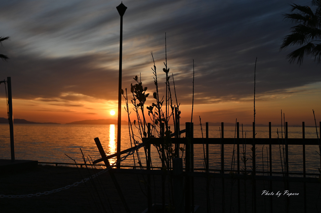 RINKU Sunset_43