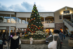 Christmas season_08