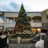 Christmas season_08