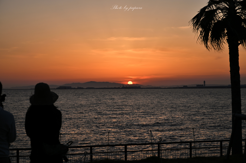 RINKU Sunset_2024156