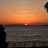 RINKU Sunset_2024156