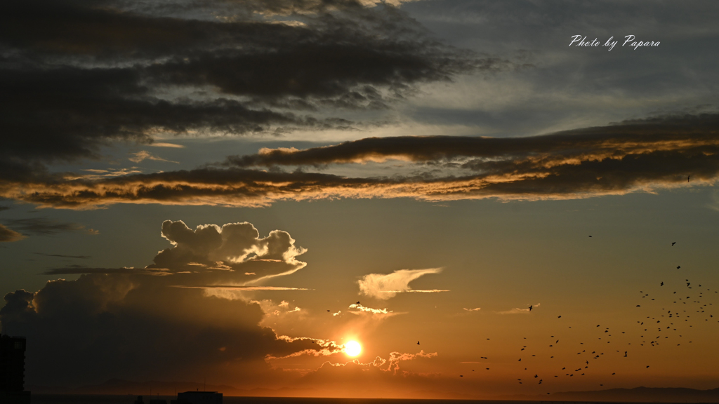 RINKU Sunset_256