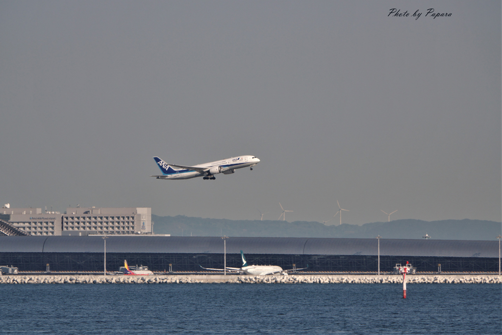 関西空港よりお便り_ 02