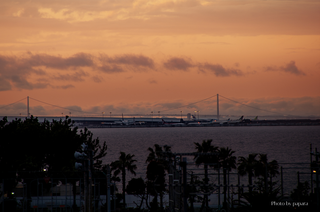 RINKU Sunset_2025118