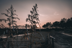 RINKU Sunset_2025（七夕）