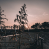 RINKU Sunset_2025（七夕）