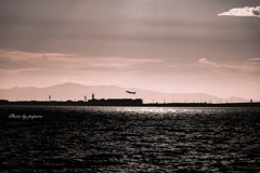 RINKU Sunset_20250813
