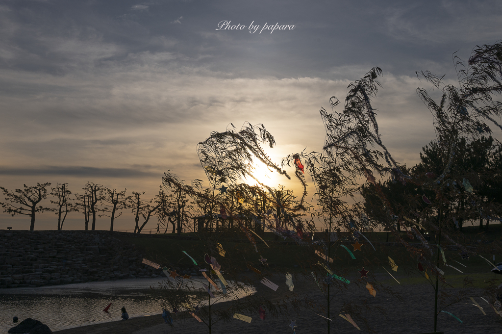RINKU Sunset_2024186