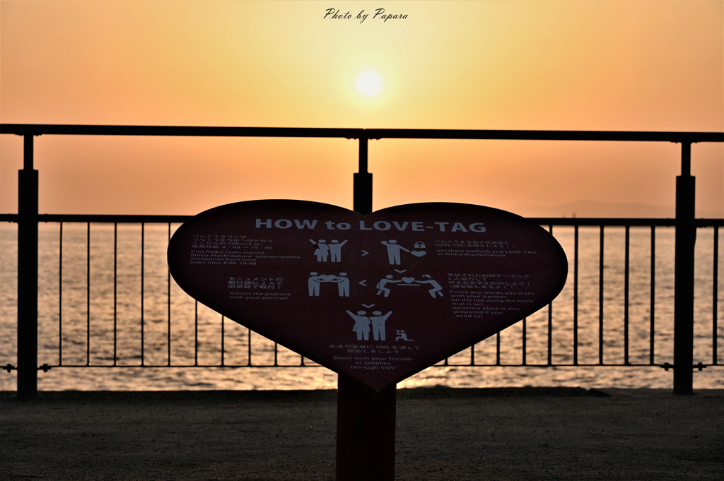 RINKU Sunset_104