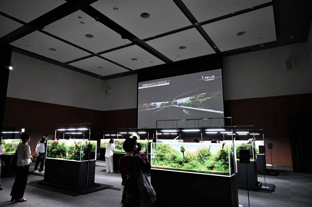 ネイチャーアクアリウム展 _01