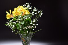 テーブルフォト（Alstroemeria）