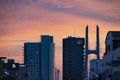 RINKU Sunset_2024237