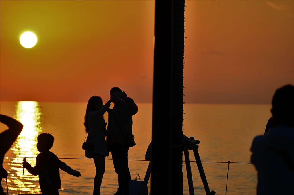 いいの撮れたかな