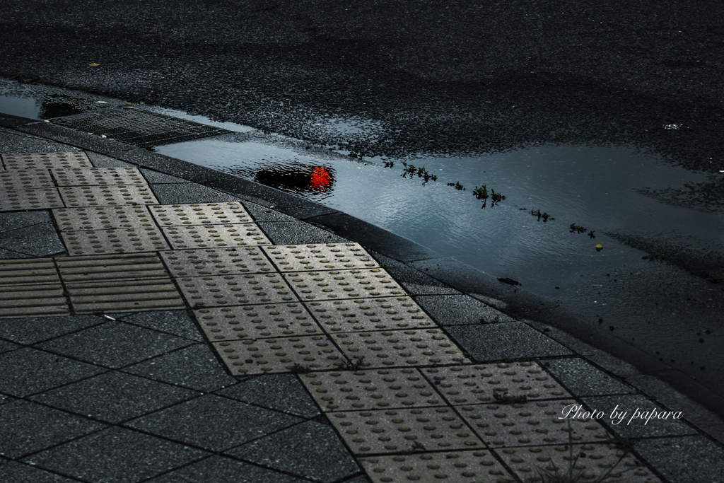 雨上がり