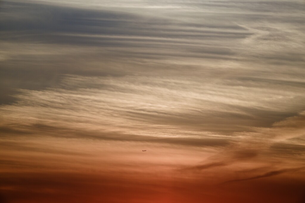 満天の夕日に飛ぶ