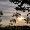 RINKU Sunset_2025185