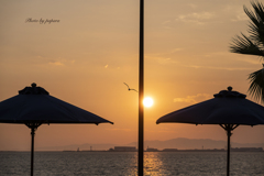 RINKU Sunset_2024251