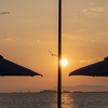 RINKU Sunset_2024251
