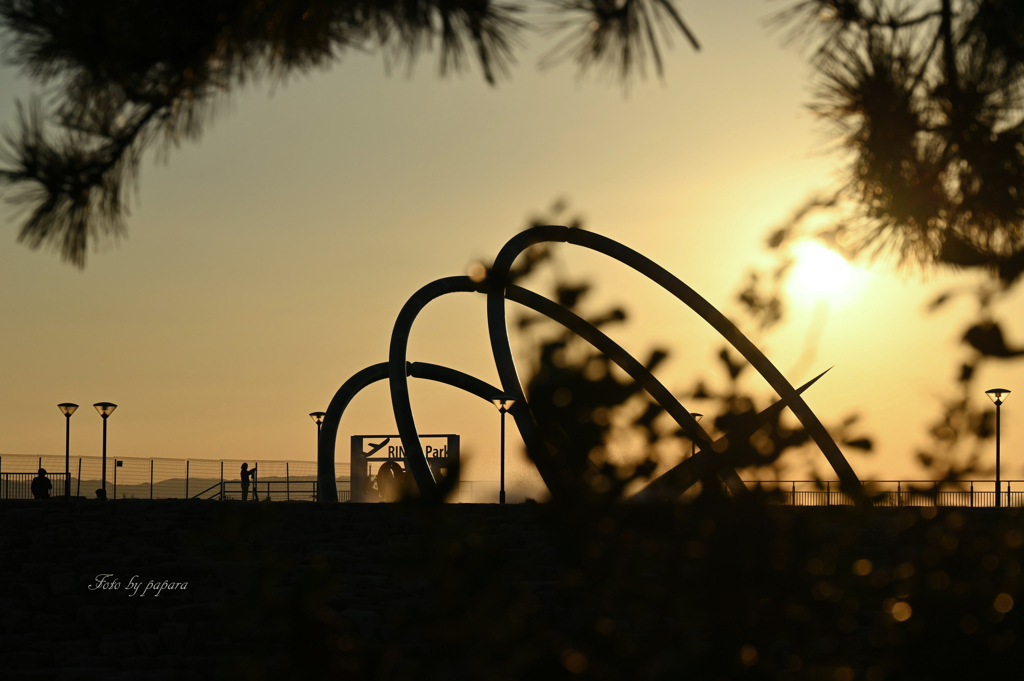 RINKU Sunset_330