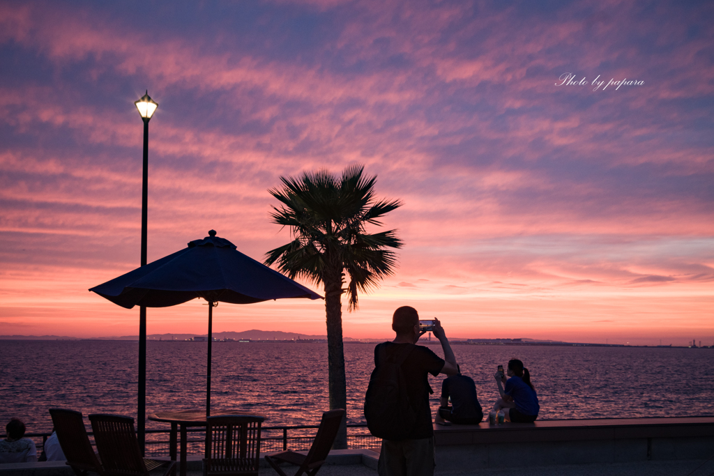 RINKU Sunset_2024161