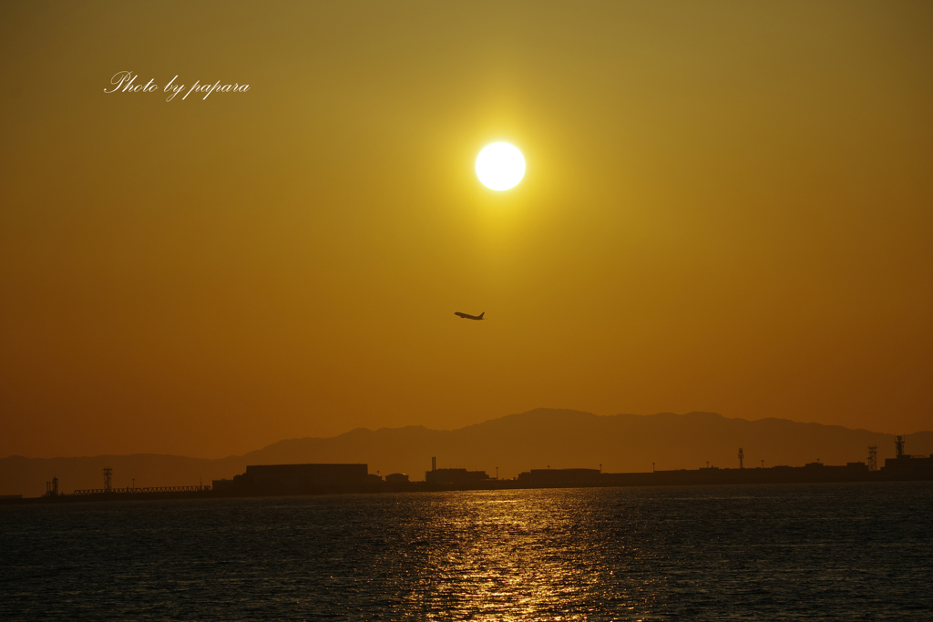 RINKU Sunset_2024148