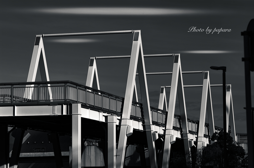 walking course_92