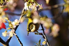 リンクウパークからのお便り_05