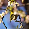 リンクウパークからのお便り_05