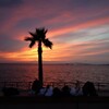 夕日を浴びてスマホ